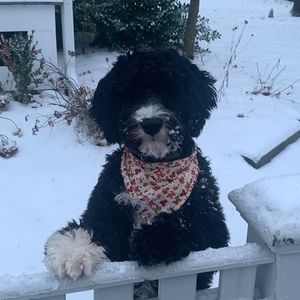 Meet your Posher, Mike